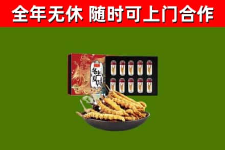 邢台市回收冬虫夏草价格